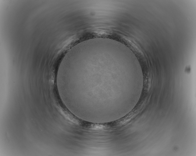 X0000091370710200708101532