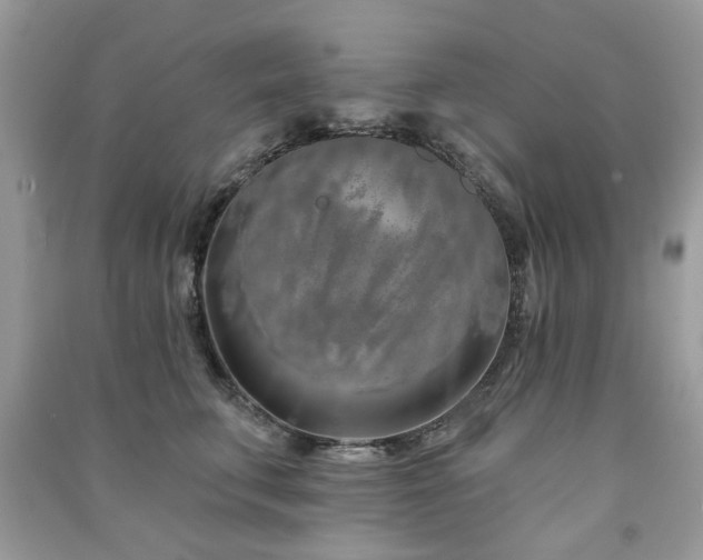 X0000091370711200708101532