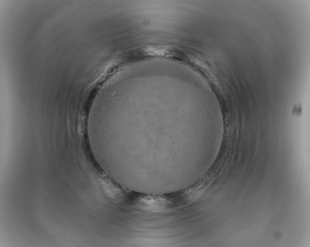 X0000091370712200708101532