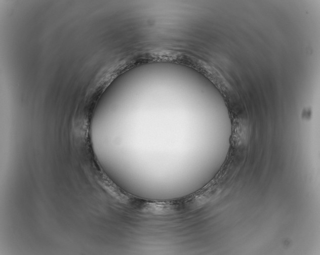 X0000091370713200708101532