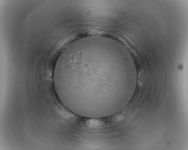 X0000091370714200708101532