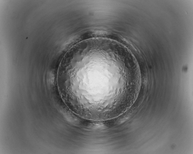 X0000091370715200708101532