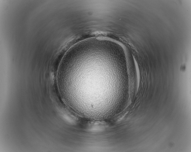 X0000091370716200708101532