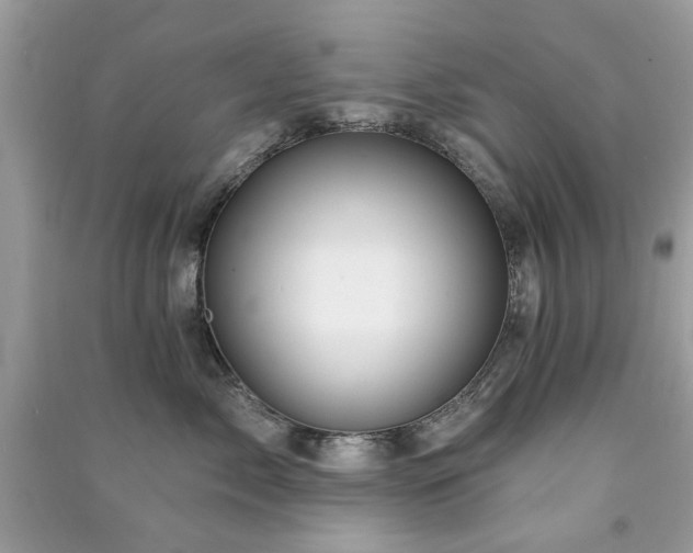 X0000091370717200708101532