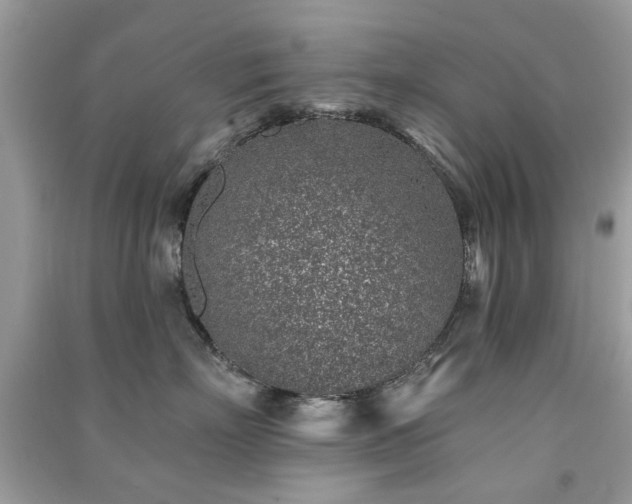 X0000091370718200708101532