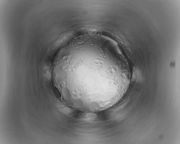 X0000091370719200708101532