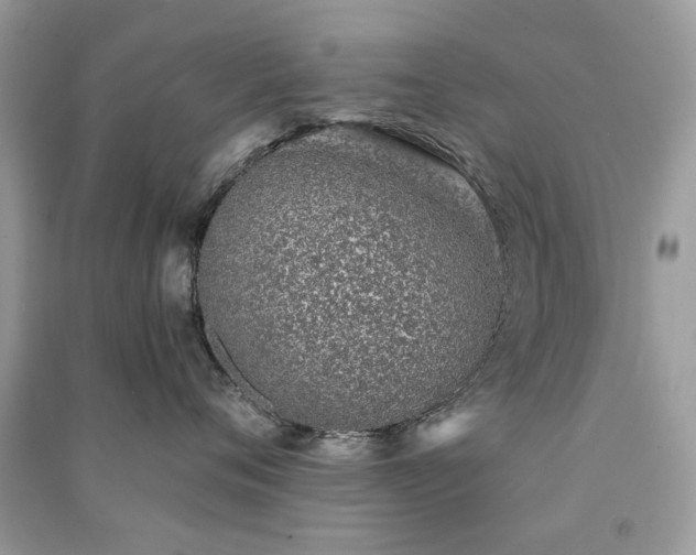 X0000091370720200708101532