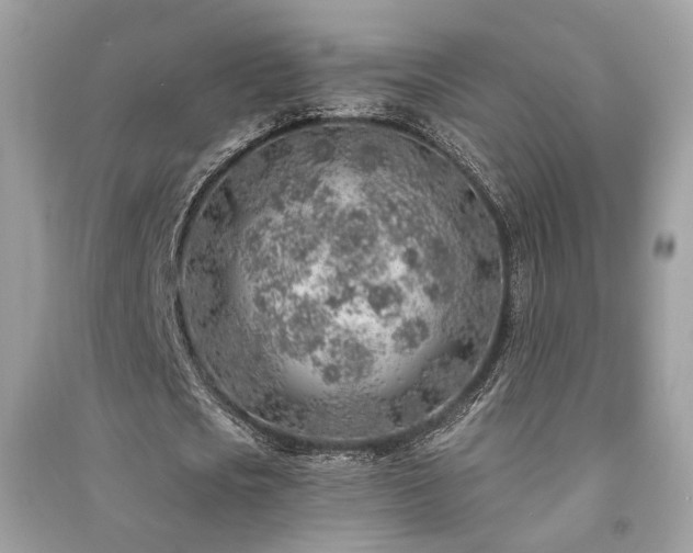 X0000091370721200708101532