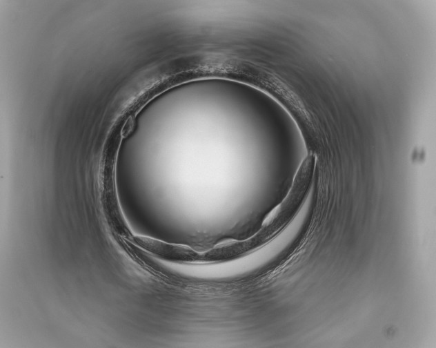 X0000091370722200708101532