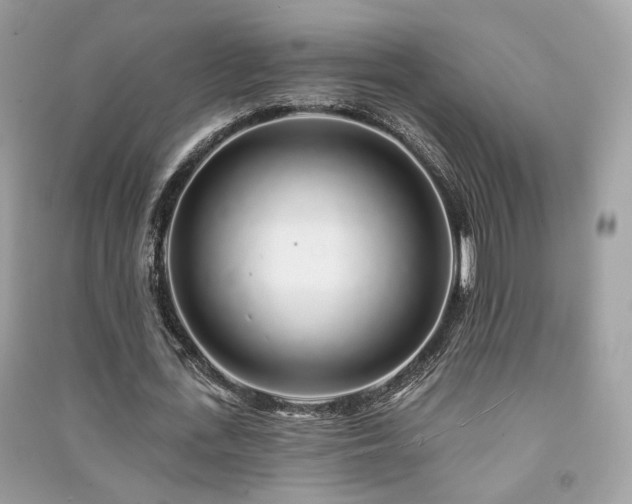 X0000091370723200708101532