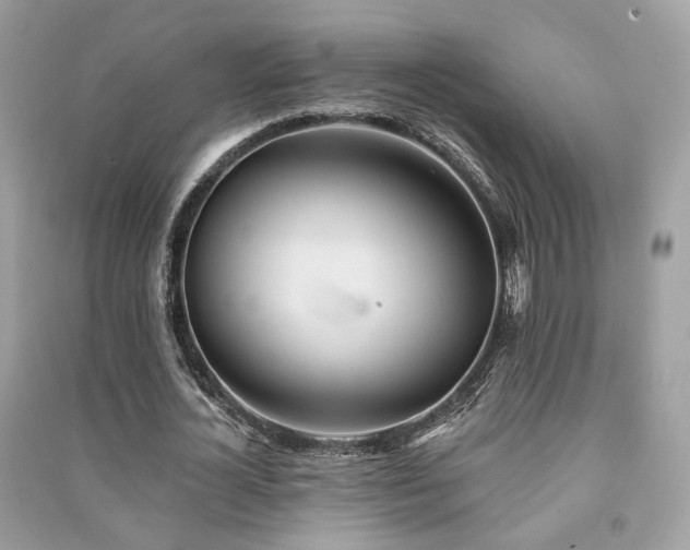 X0000091370724200708101532