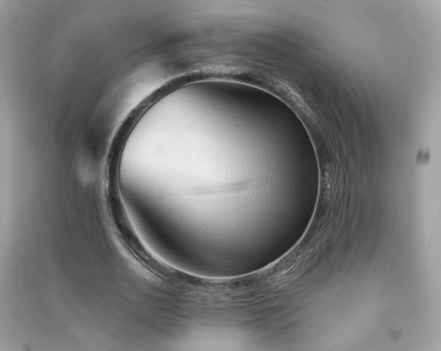 X0000091370726200708101532