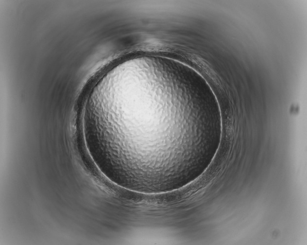 X0000091370727200708101532