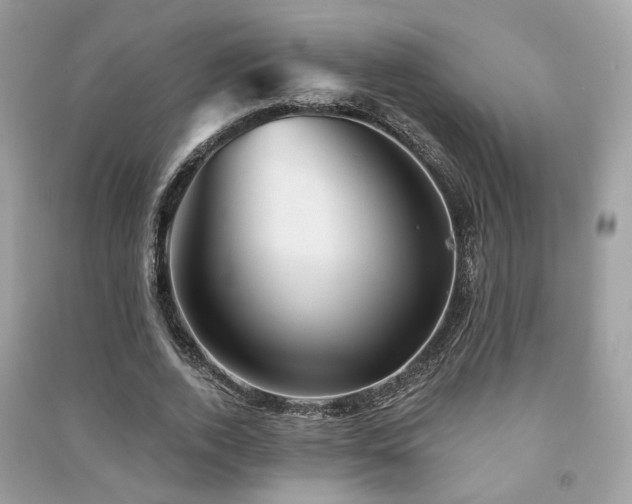 X0000091370728200708101532