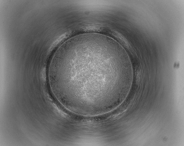 X0000091370729200708101532