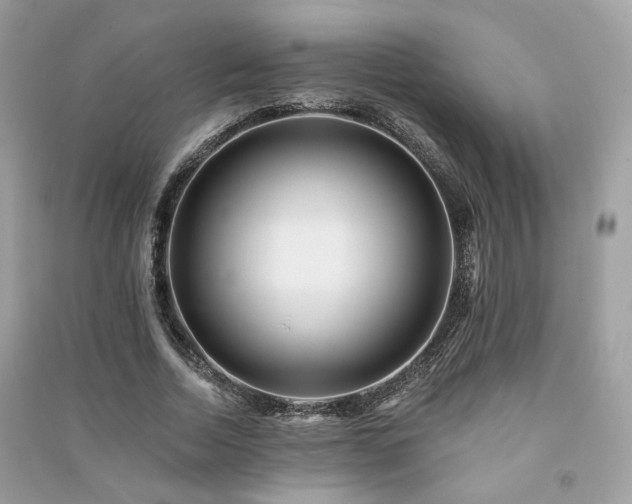 X0000091370730200708101532