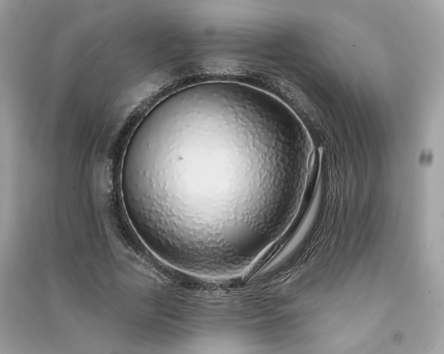 X0000091370731200708101532