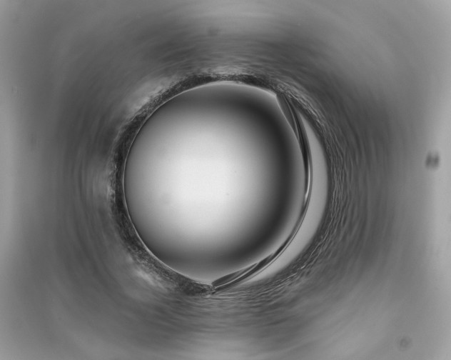 X0000091370732200708101532