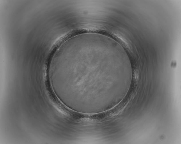 X0000091370733200708101532