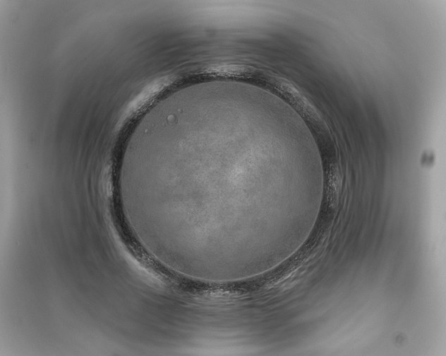 X0000091370734200708101532