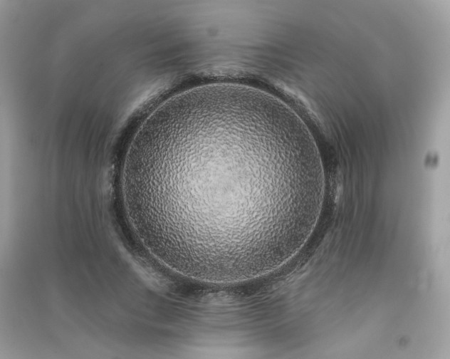 X0000091370735200708101532