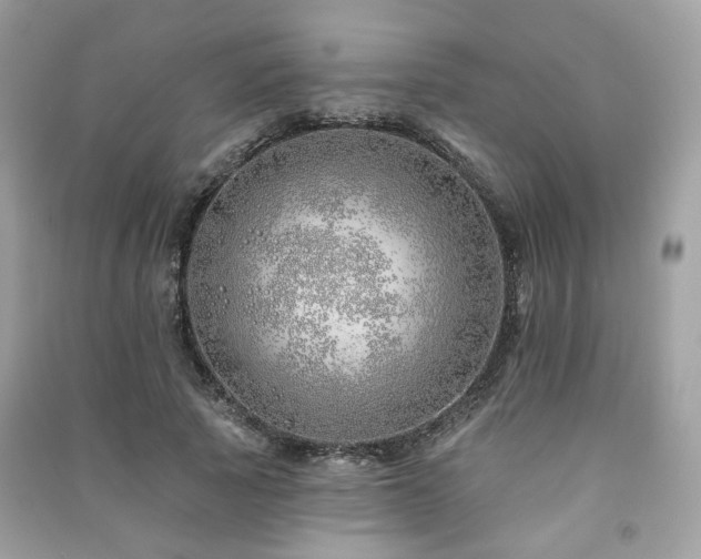 X0000091370737200708101532