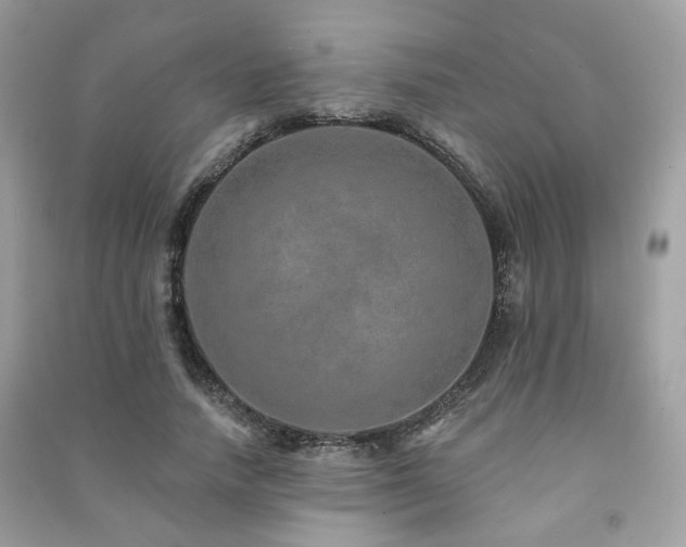 X0000091370738200708101532