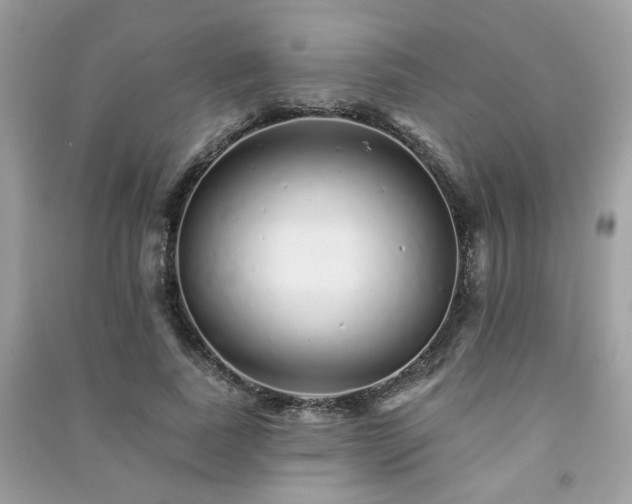 X0000091370739200708101532