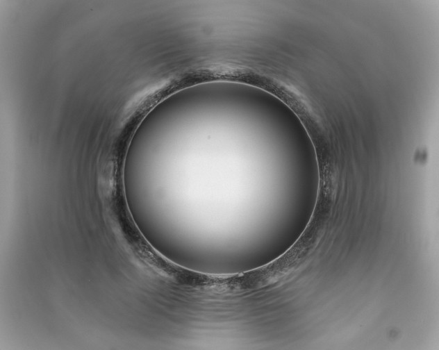 X0000091370740200708101532