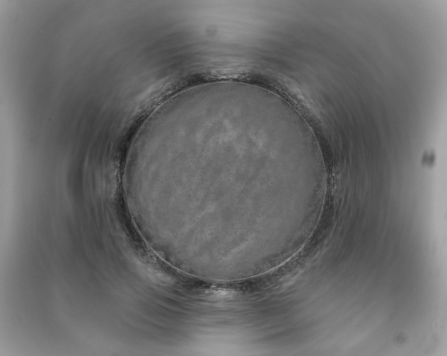 X0000091370741200708101532