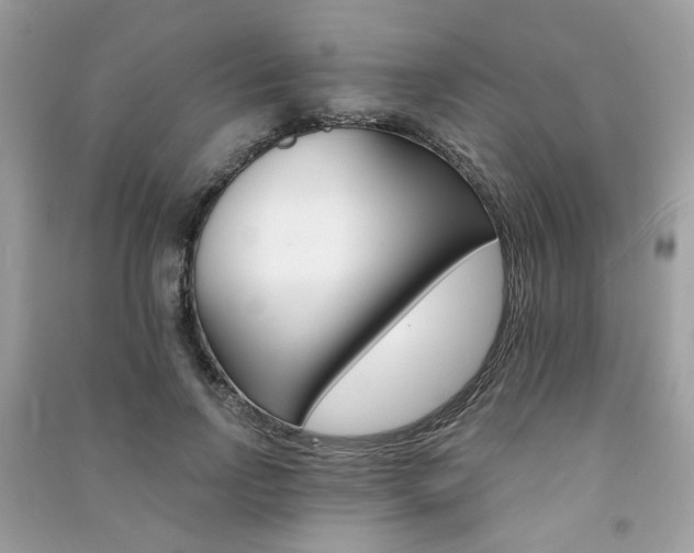 X0000091370742200708101532