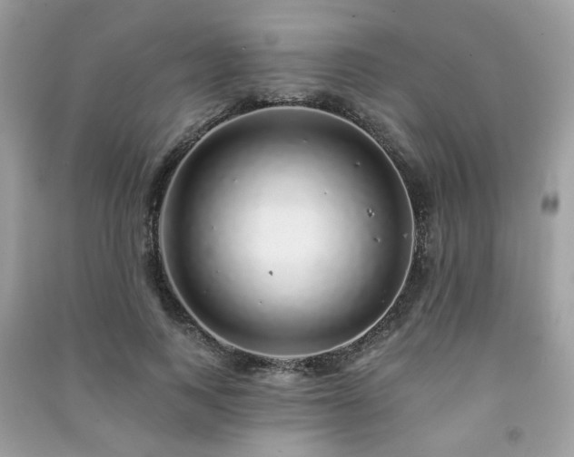 X0000091370743200708101532