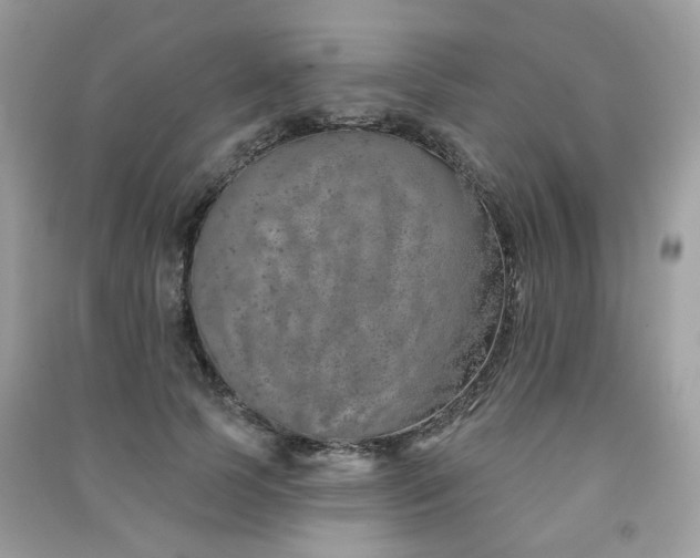 X0000091370745200708101532