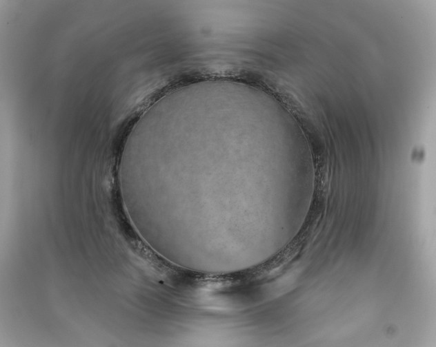 X0000091370746200708101532