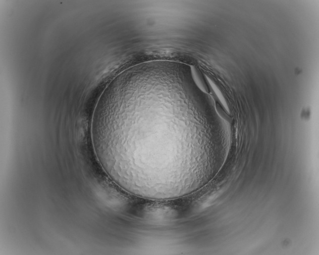 X0000091370747200708101532