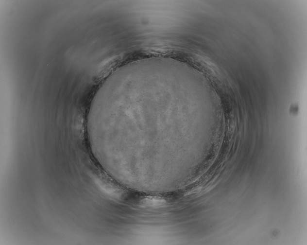 X0000091370749200708101532