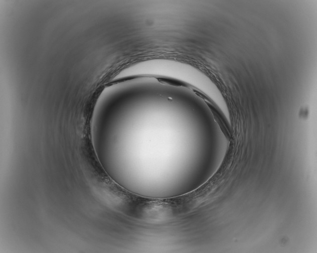 X0000091370750200708101532