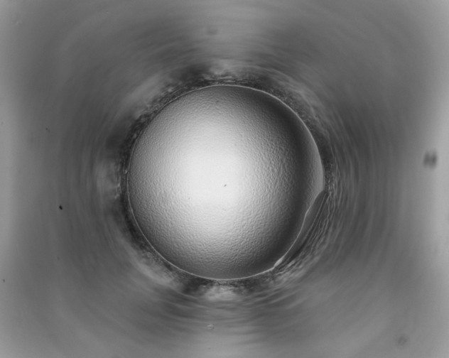 X0000091370751200708101532