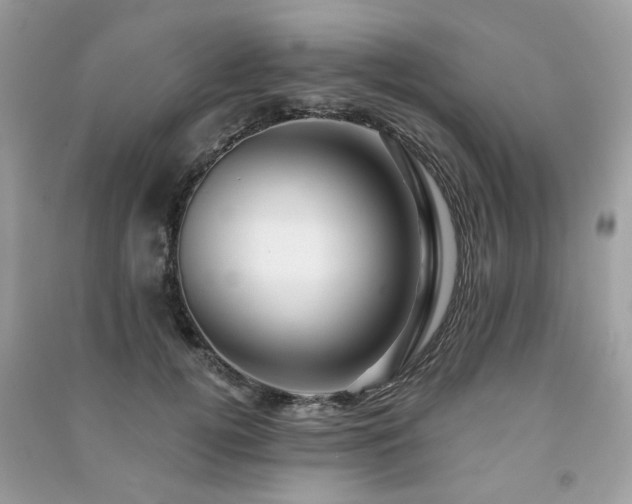 X0000091370752200708101532