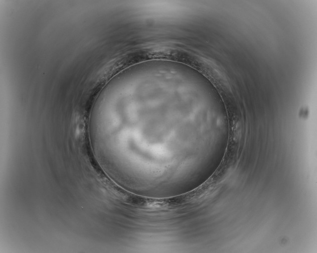 X0000091370753200708101532