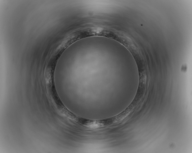 X0000091370754200708101532