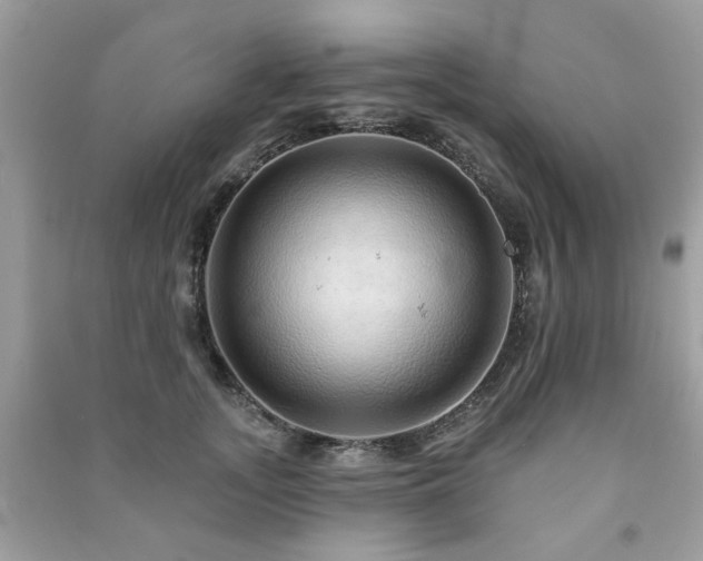 X0000091370755200708101532