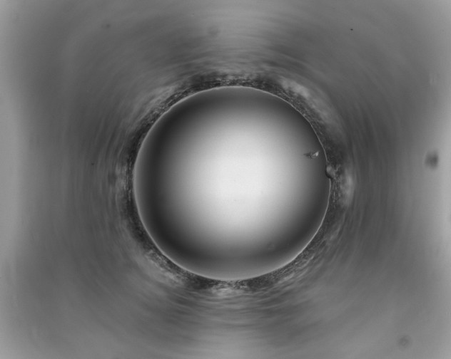 X0000091370756200708101532