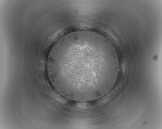 X0000091370757200708101532