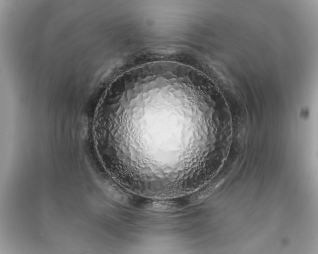 X0000091370758200708101532