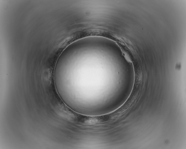 X0000091370759200708101532