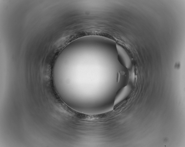 X0000091370760200708101532