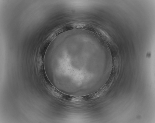 X0000091370761200708101532