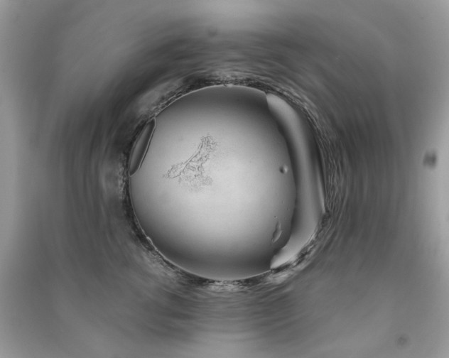 X0000091370762200708101532