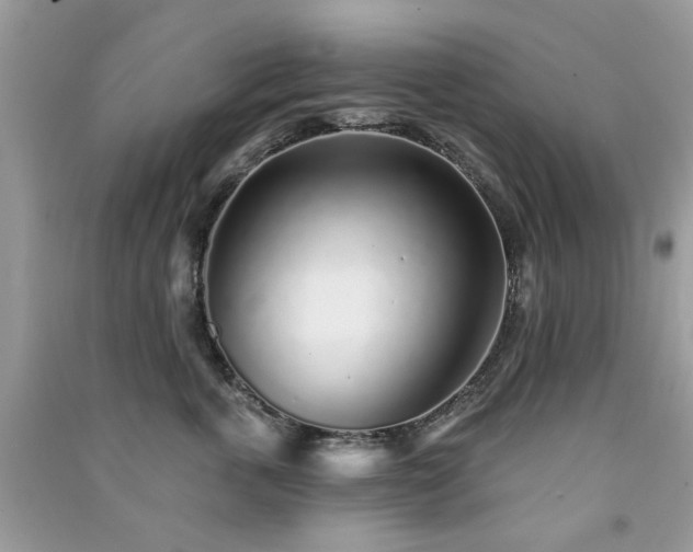 X0000091370763200708101532